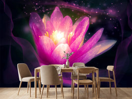 photo-wallpaper-lily-in-the-light-play