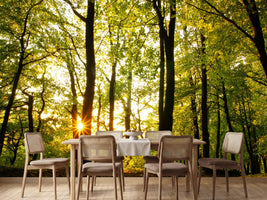 photo-wallpaper-sunset-between-trees