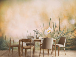 photo-wallpaper-untitled-xfj