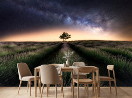 photo-wallpaper-lavender-way