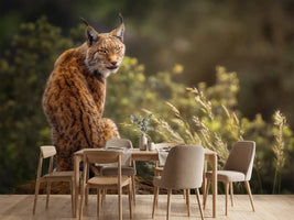 photo-wallpaper-lynx-fine-art-x