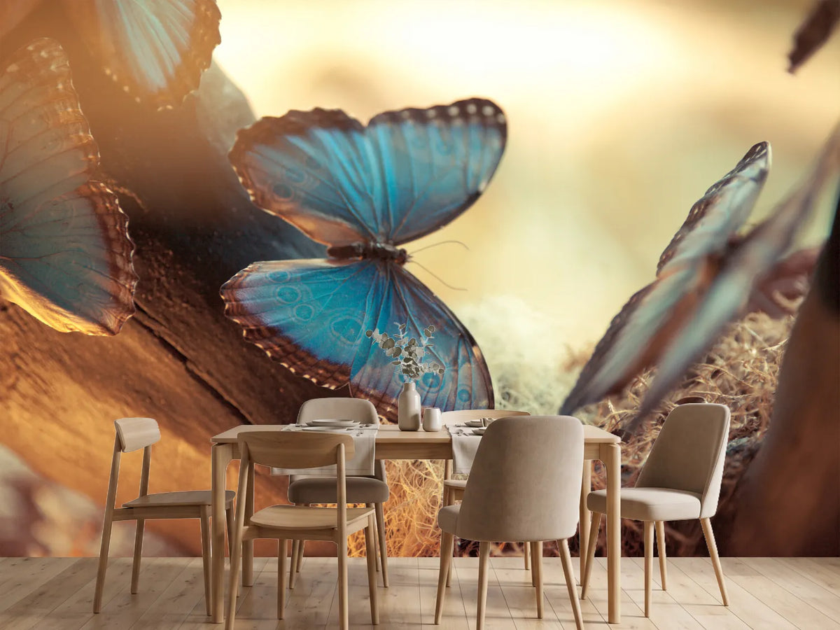 photo-wallpaper-butterflies