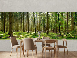 photo-wallpaper-beautiful-forest-with-moss-covered-soil-and-sunbeams-through-the-trees