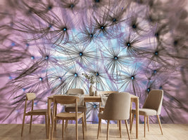 photo-wallpaper-dandelion-in-the-light-play