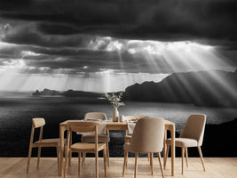 photo-wallpaper-morning-rays-x