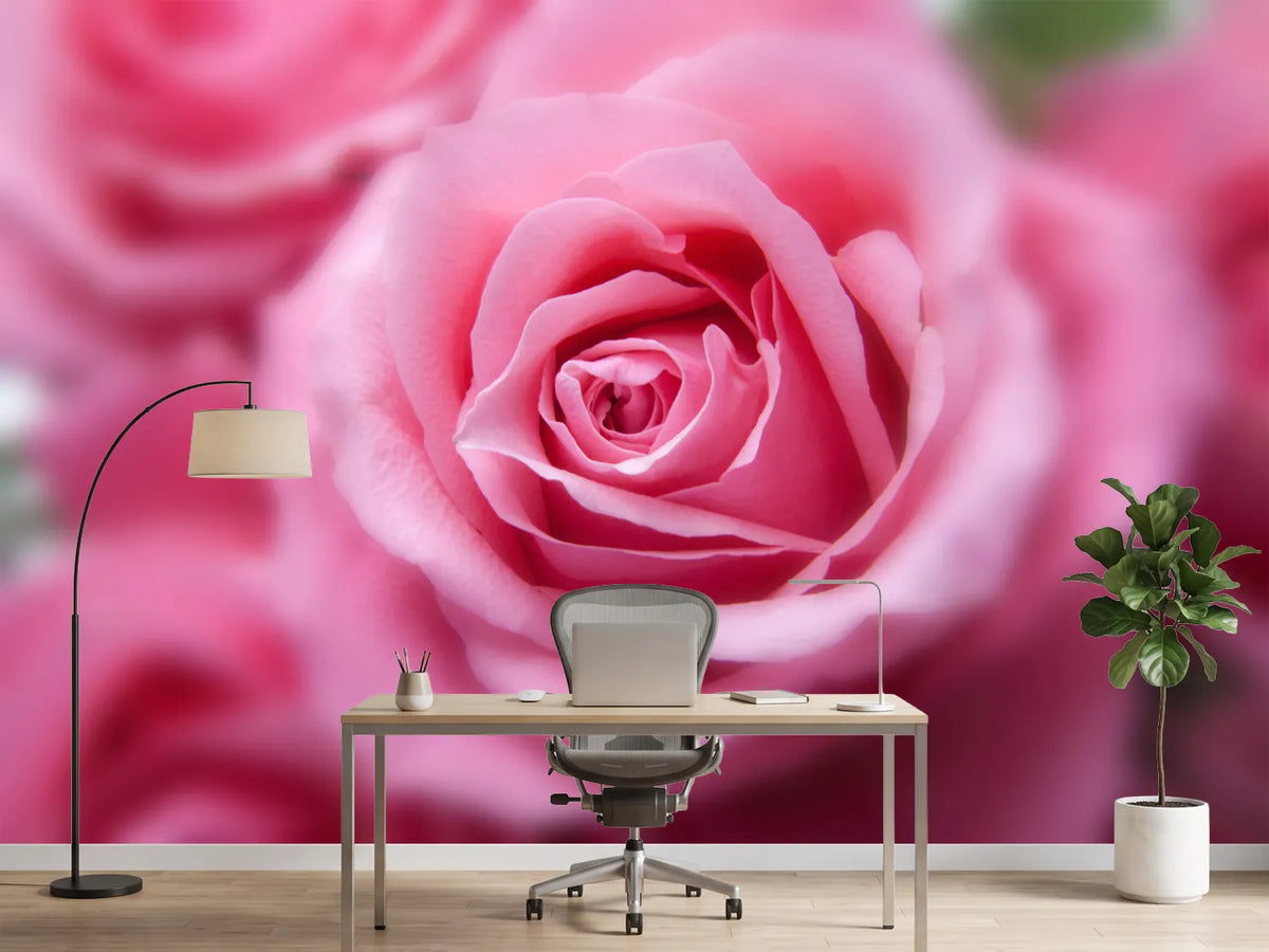 photo-wallpaper-roses-macro