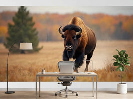 photo-wallpaper-bison-charging-through-golden-autumn-prairie-grass