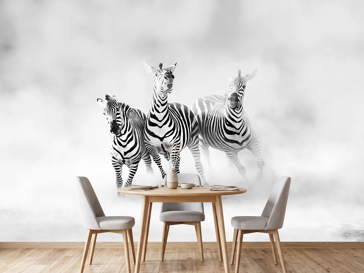 photo-wallpaper-zebras