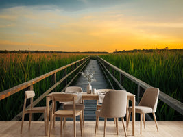 photo-wallpaper-sunset-in-the-fields