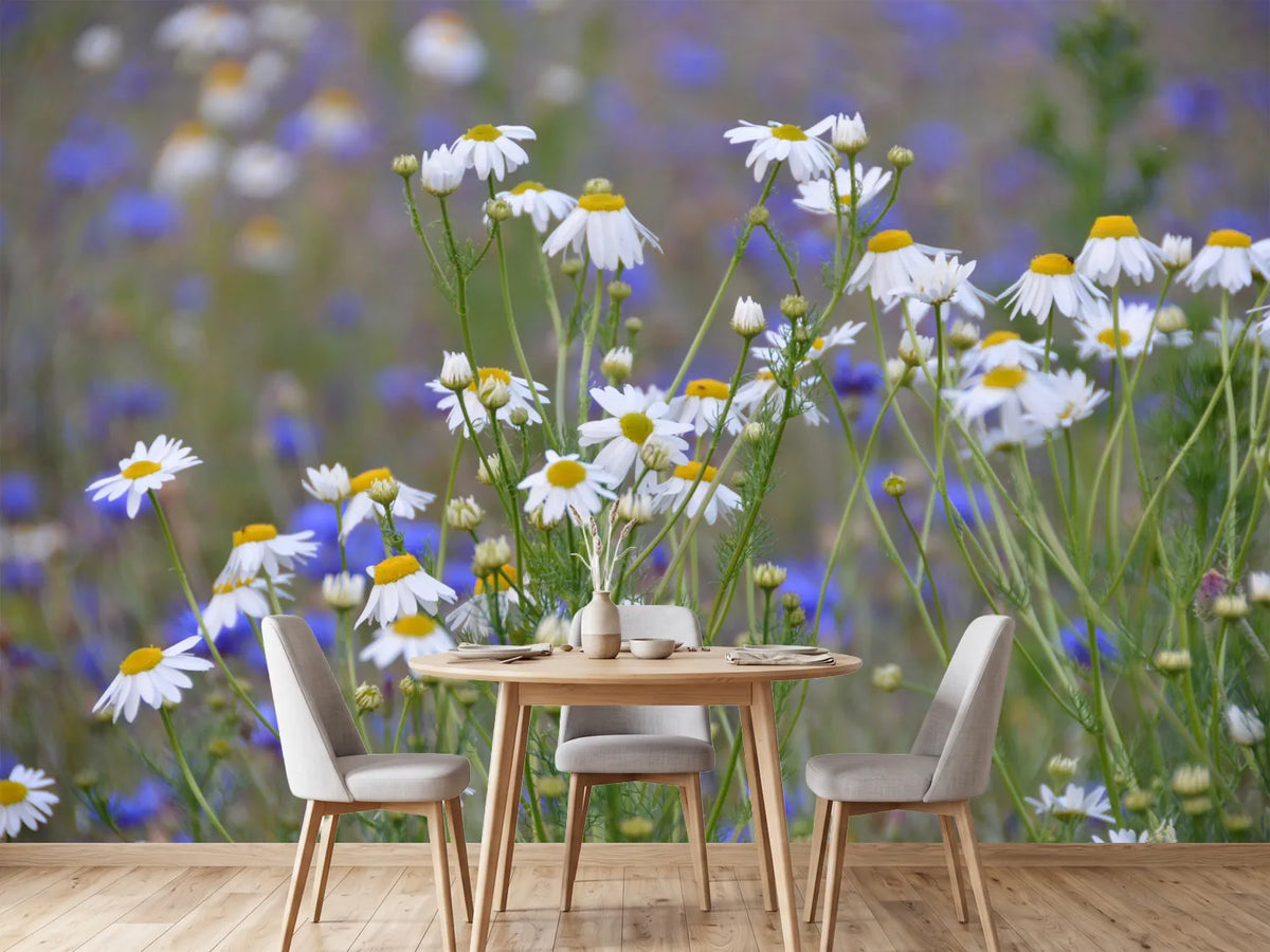 photo-wallpaper-wild-flower-meadow