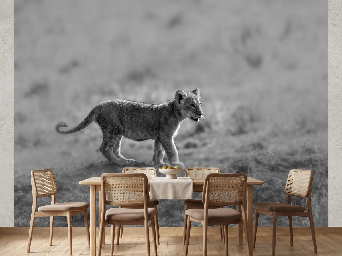 photo-wallpaper-baby-lion-cub-stroll