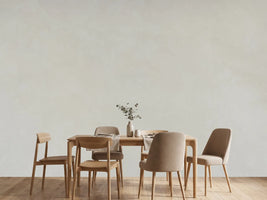 photo-wallpaper-subtle-plaster-surface