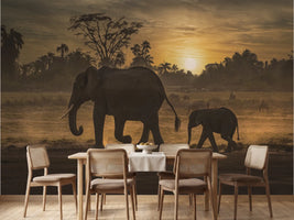 photo-wallpaper-african-sunset-elephants
