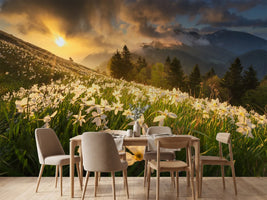 photo-wallpaper-white-carpet-xvs