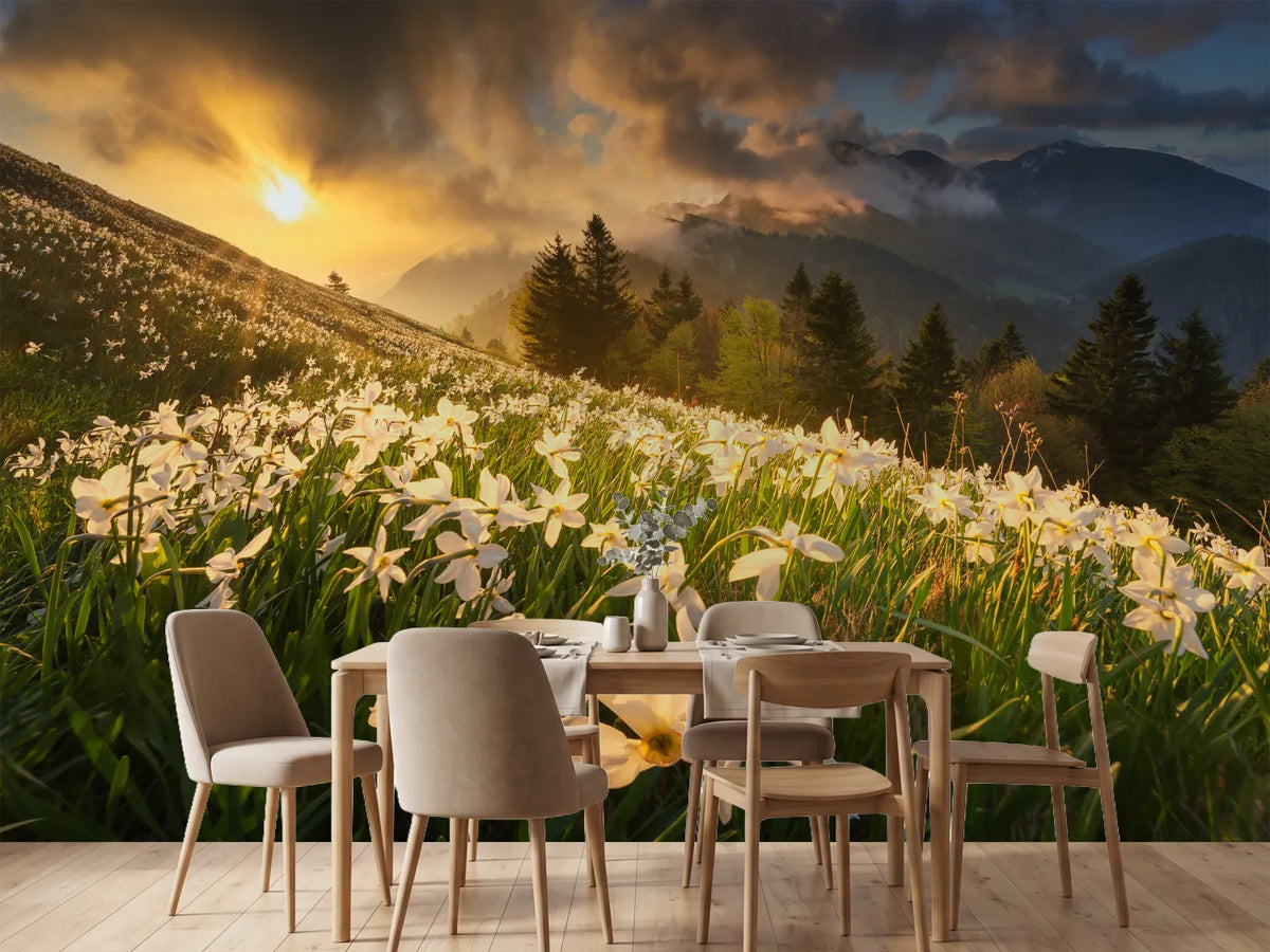 photo-wallpaper-white-carpet-xvs