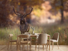 photo-wallpaper-posing