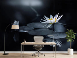 photo-wallpaper-reflection-iv