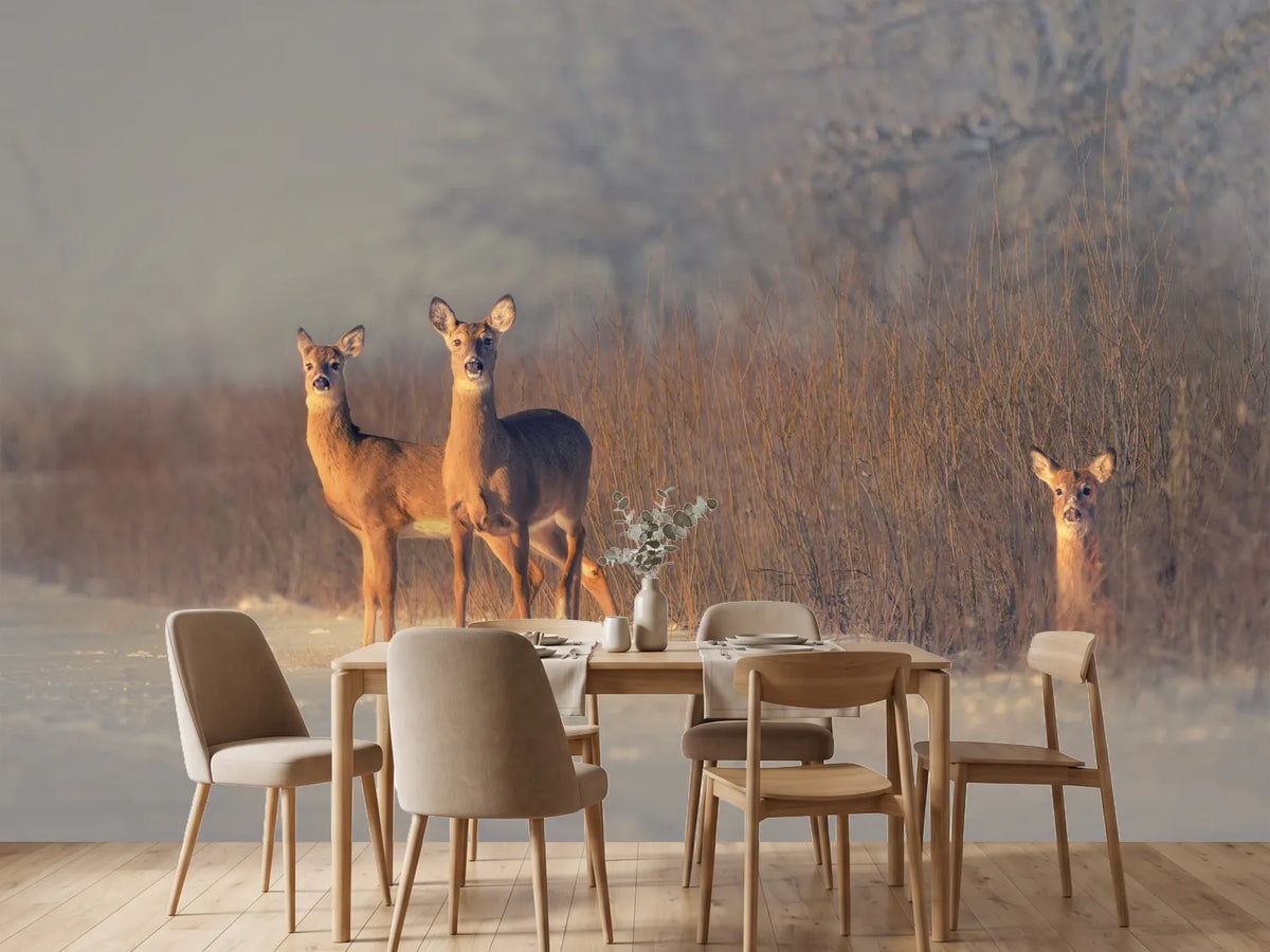 photo-wallpaper-three-deer-winter-morning