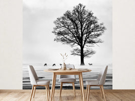 photo-wallpaper-roes-x