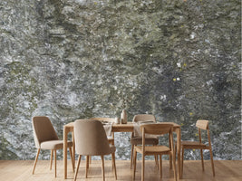 photo-wallpaper-mossy-rock-texture