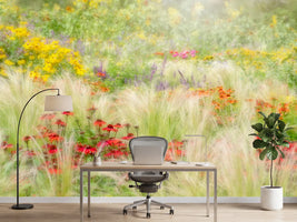 photo-wallpaper-summer-reverie-x