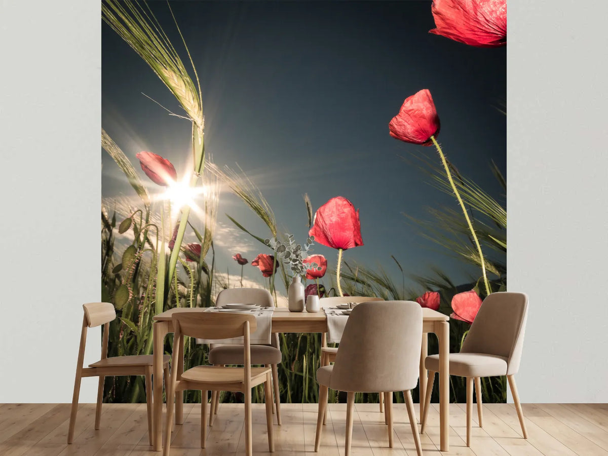 photo-wallpaper-summer-is-here-x