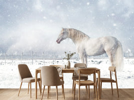 photo-wallpaper-white-horse-snowfall