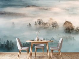 photo-wallpaper-winter-fog