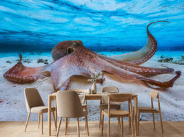 photo-wallpaper-octopus