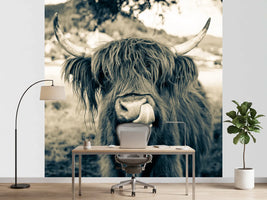 photo-wallpaper-grazing-time-in-bavaria