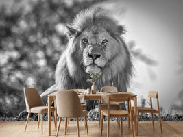 photo-wallpaper-monochromatic-lion-king-x