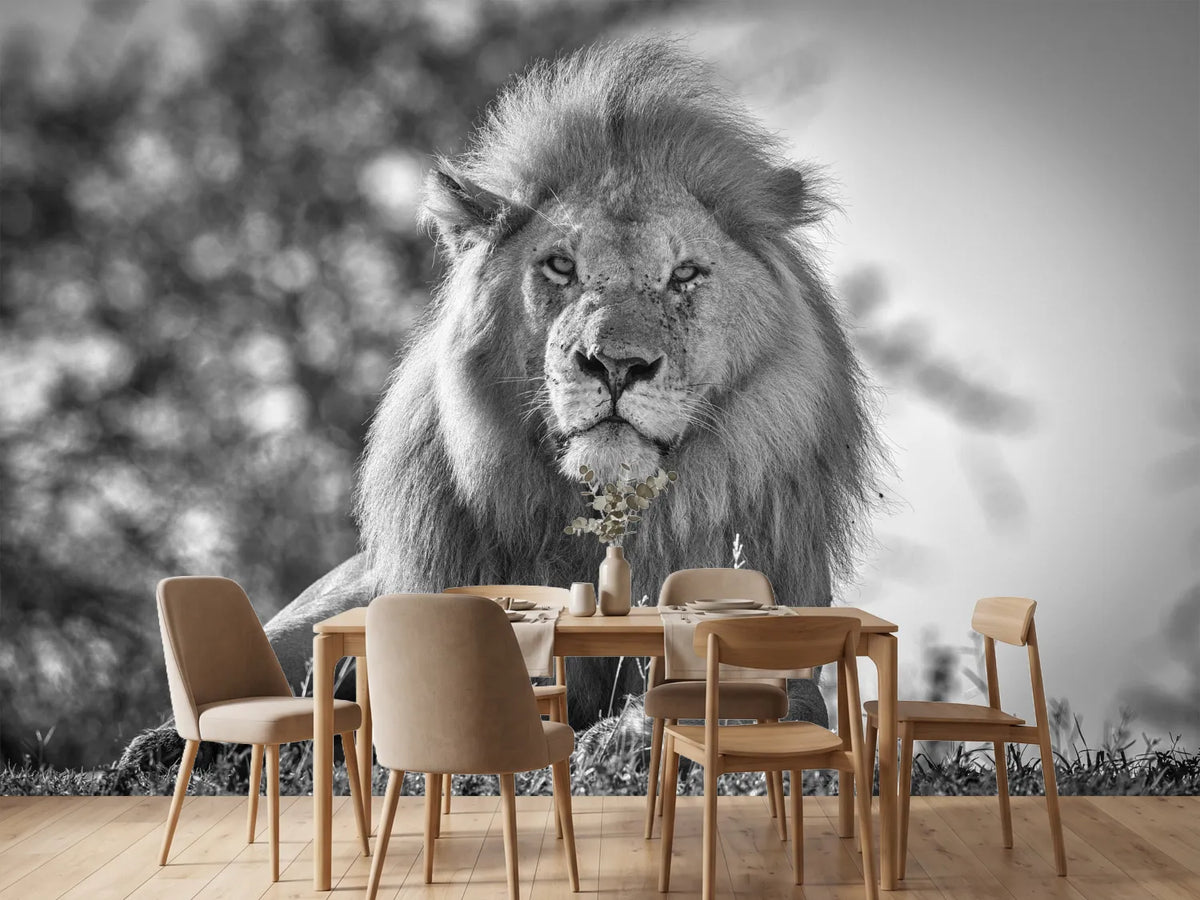photo-wallpaper-monochromatic-lion-king-x