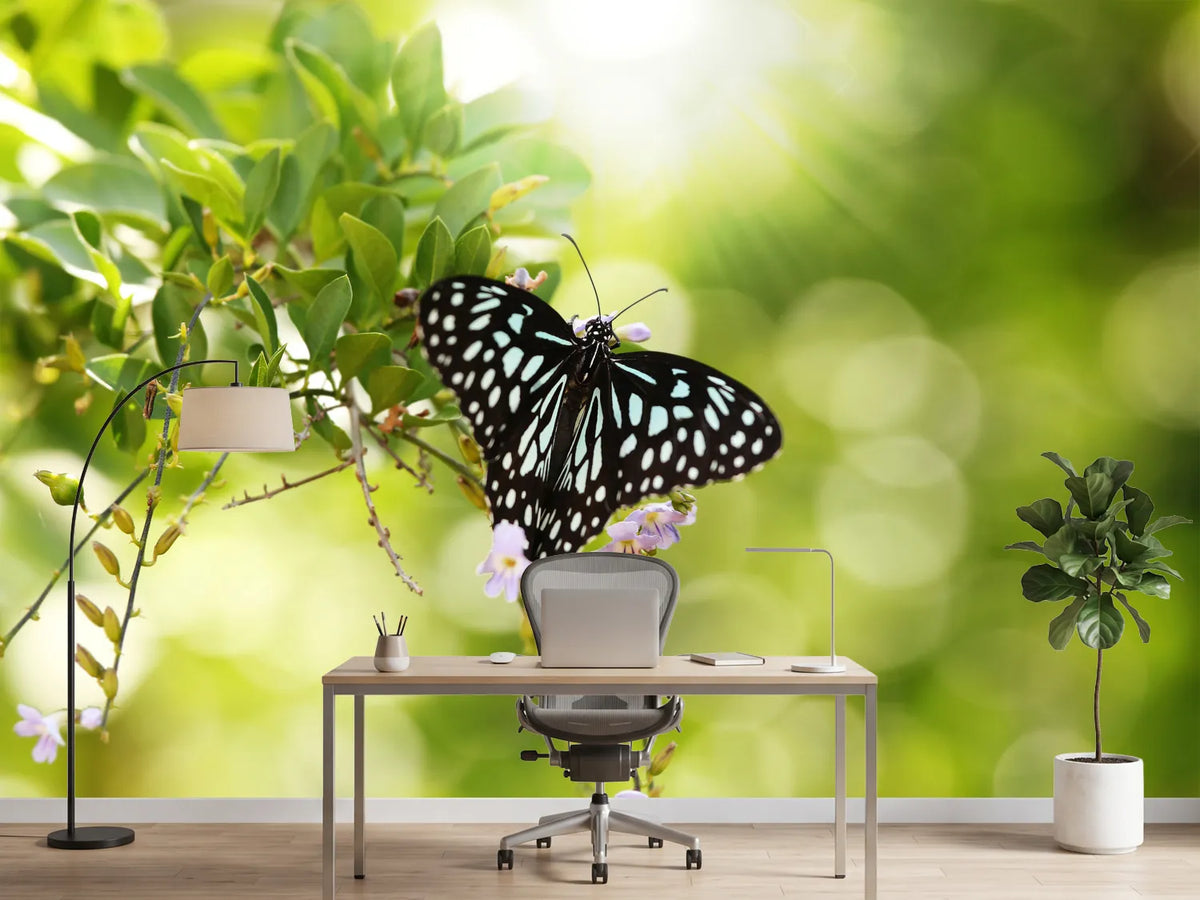 photo-wallpaper-papilio-butterfly-xxl