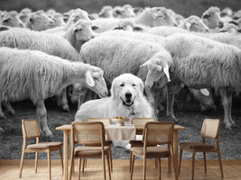 photo-wallpaper-the-boss-x