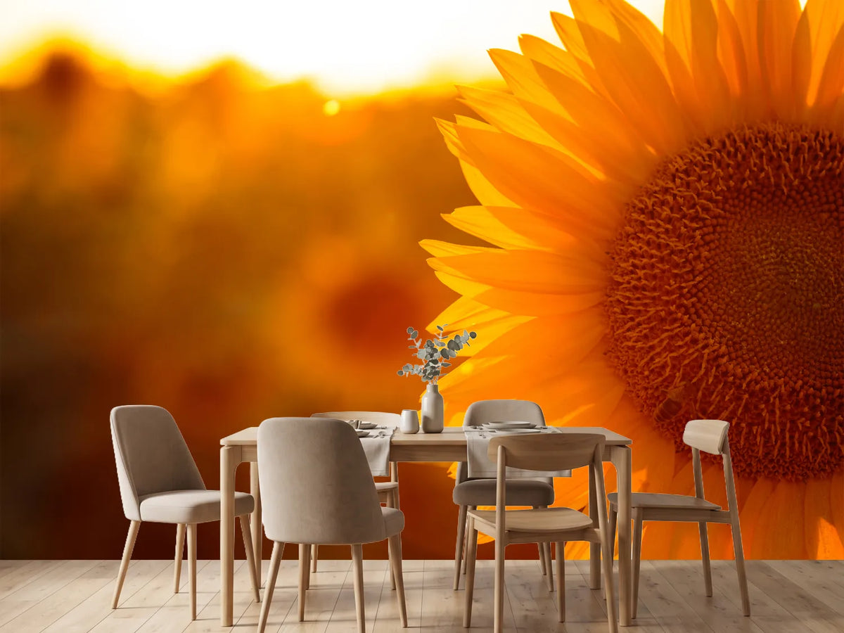 photo-wallpaper-macro-sunflower