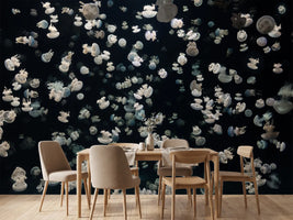 photo-wallpaper-just-some-jellies
