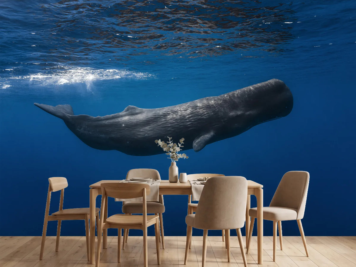 photo-wallpaper-sperm-whale
