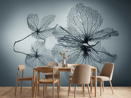 photo-wallpaper-ephemeral-beauty