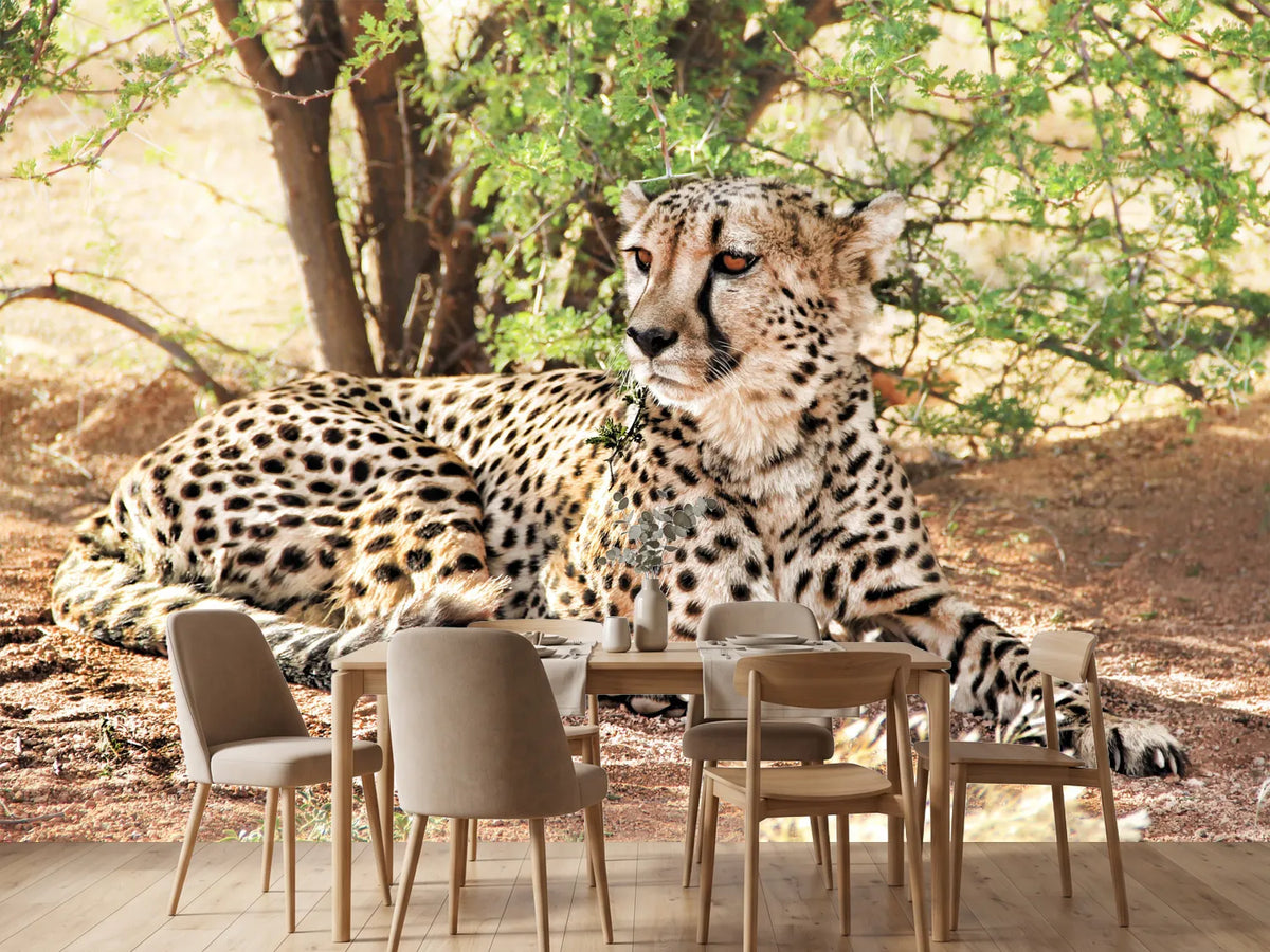 photo-wallpaper-sun-cheetah