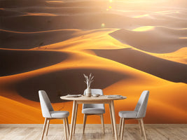 photo-wallpaper-wilderness-journey