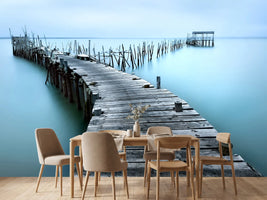photo-wallpaper-carrasqueira-ii