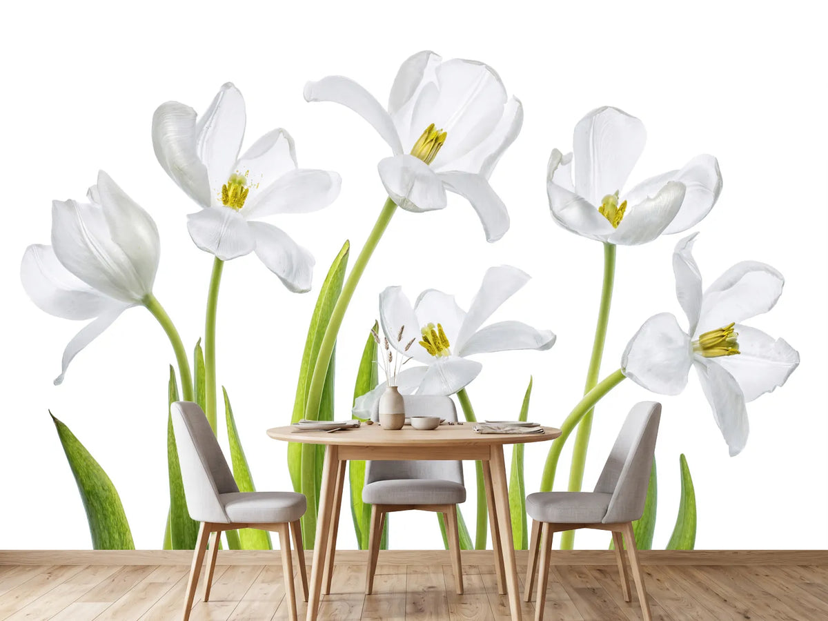 photo-wallpaper-white-tulips-x