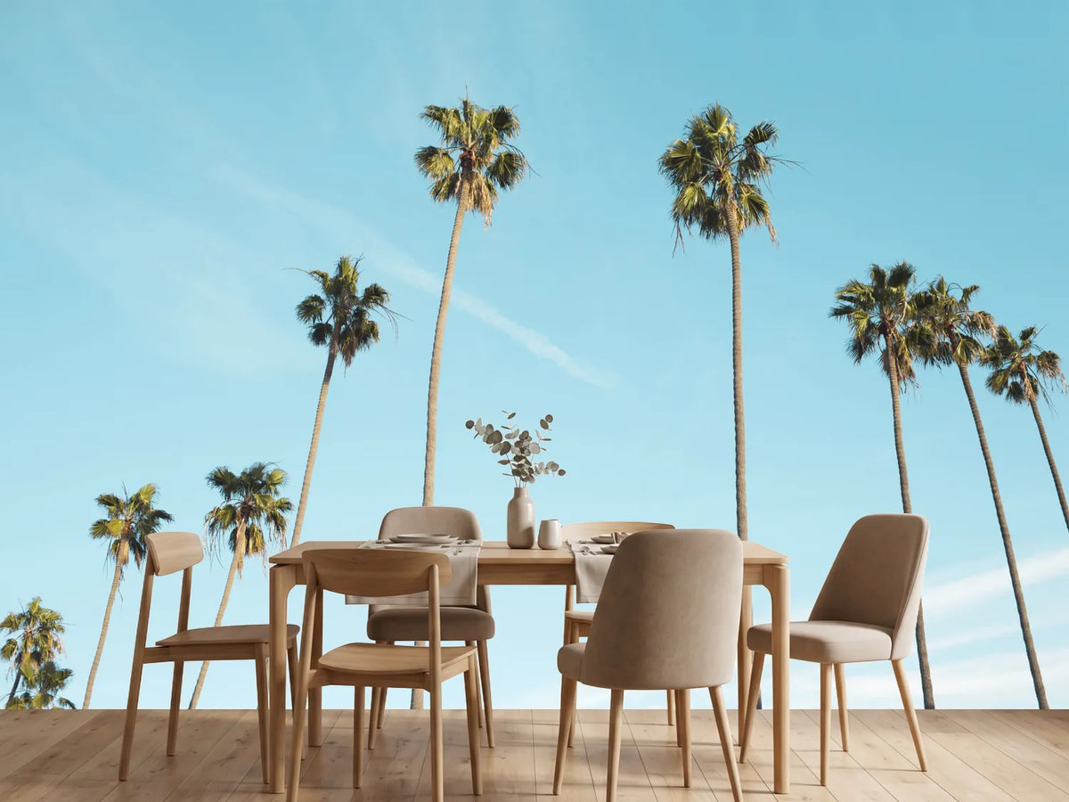 photo-wallpaper-a-sky-full-of-palm-trees