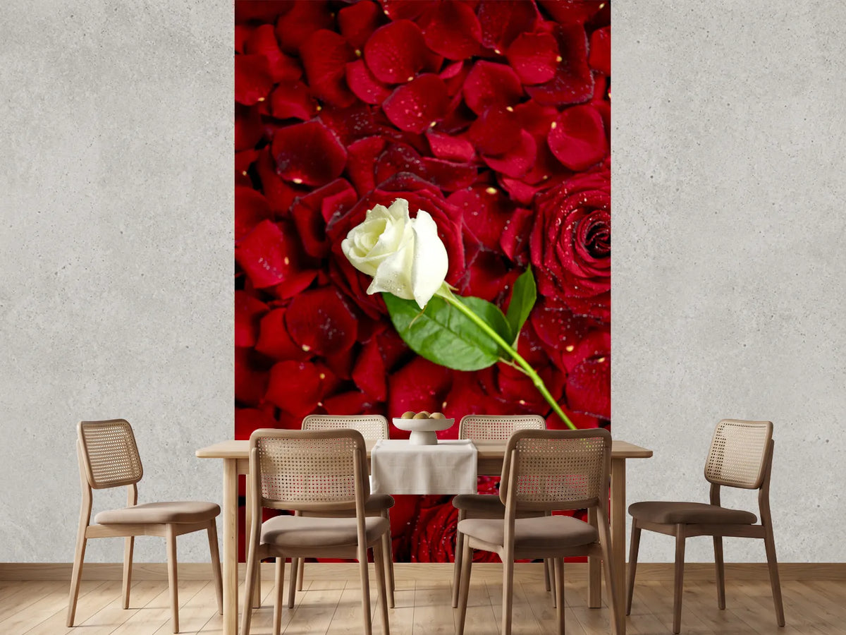 photo-wallpaper-bed-of-roses