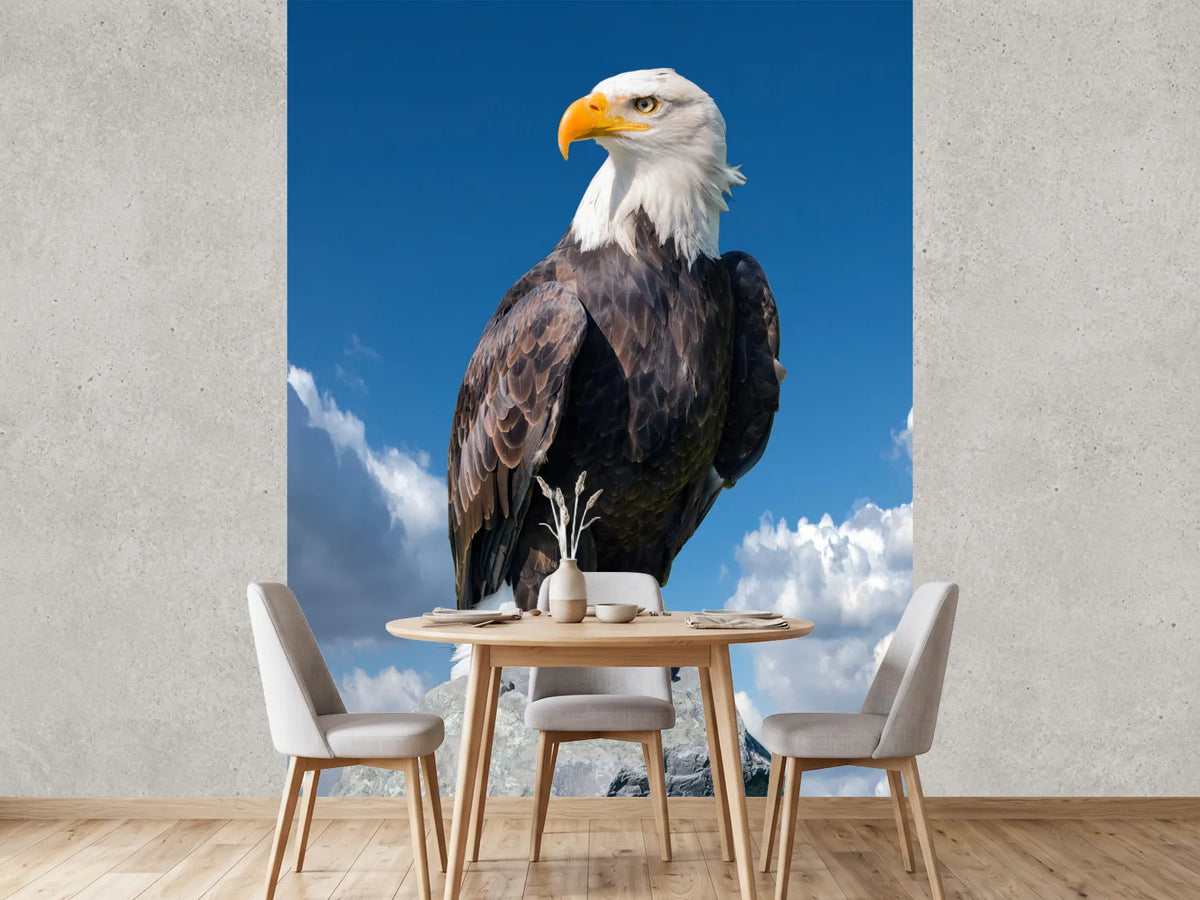 photo-wallpaper-bald-eagle-haliaeetus-leucocephalus-portrait