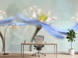 photo-wallpaper-dancing-anemones