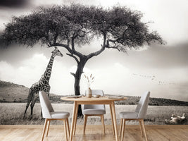 photo-wallpaper-under-the-african-sun
