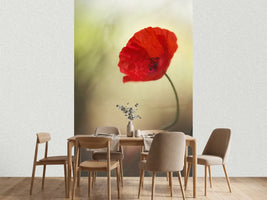 photo-wallpaper-untitled-xx