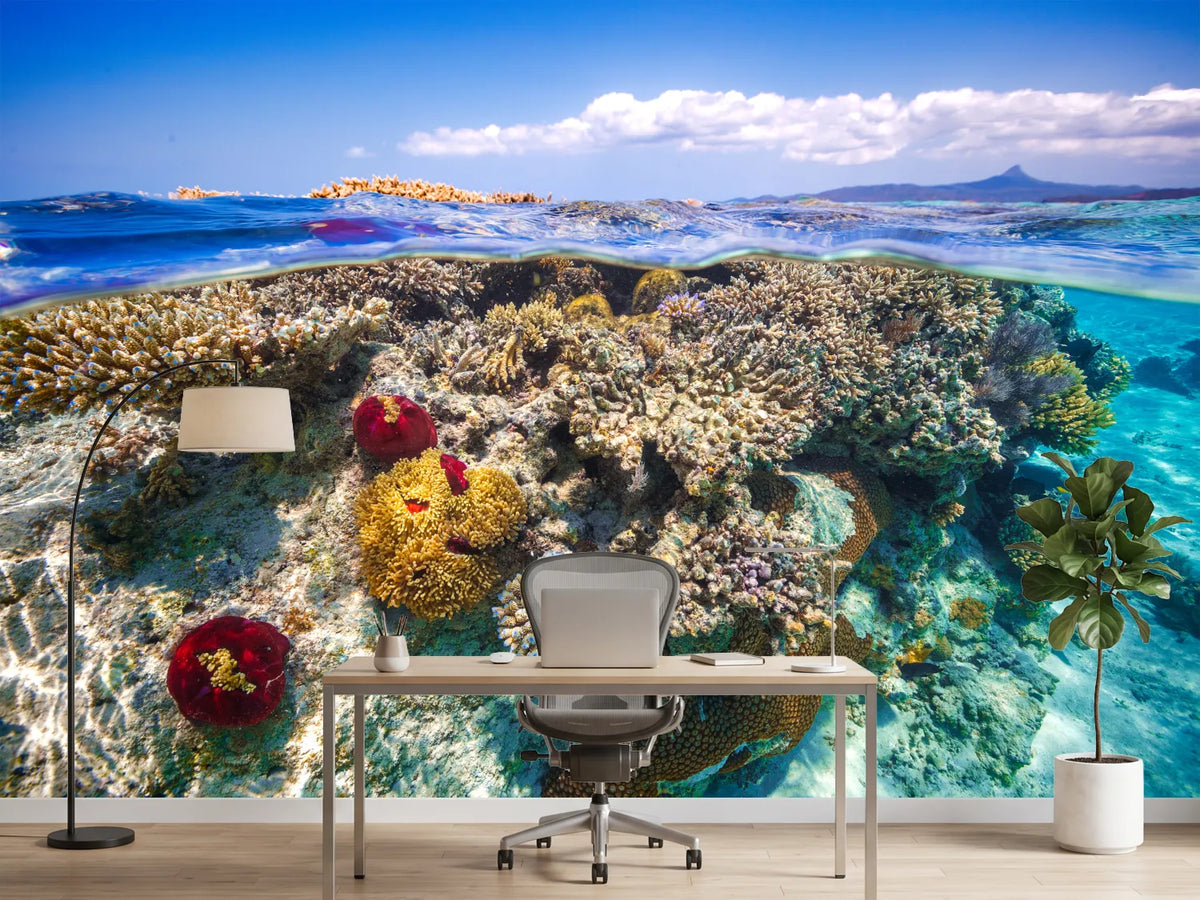 photo-wallpaper-mayotte-the-reef