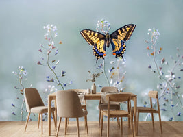 photo-wallpaper-swallowtail-beauty